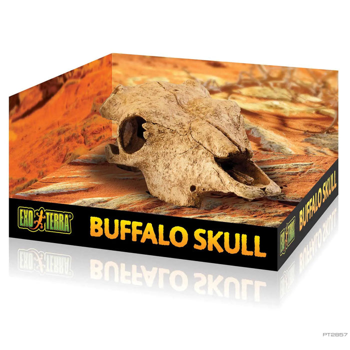 Exo Terra Buffalo Skull – Rifugio a Forma di Teschio di Bufalo per Rettili e Anfibi