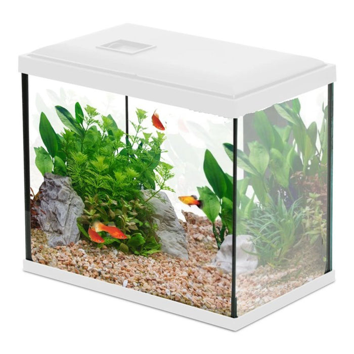 Zolux Initio 30 Bianco (13 L) – Kit Acquario Completo con Filtro Cascade e LED 6500K