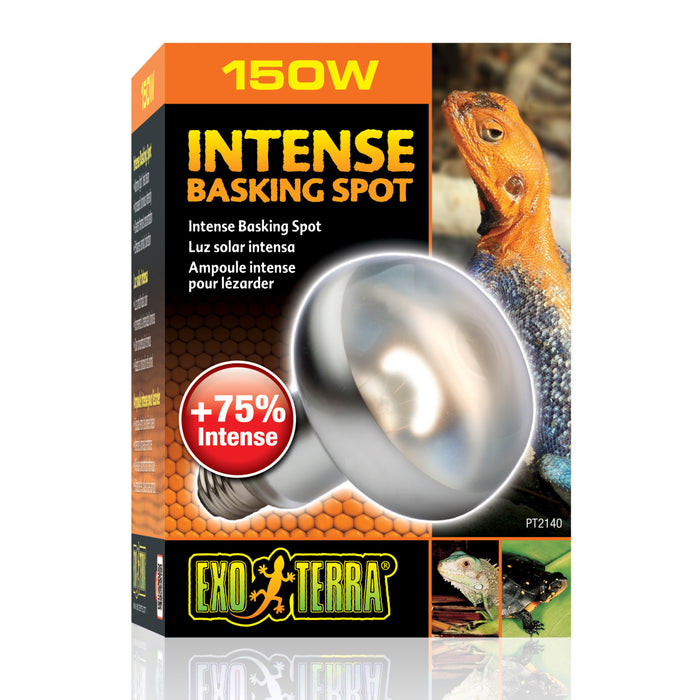 Exo Terra Intense Basking Spot 150 W – Lampada Riscaldante Concentrata per Terrari
