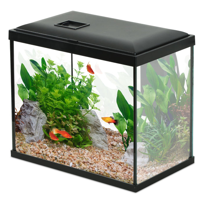 Zolux Initio 30 Nero (13 L) – Kit Acquario Completo con Filtro Cascade e LED 6500K
