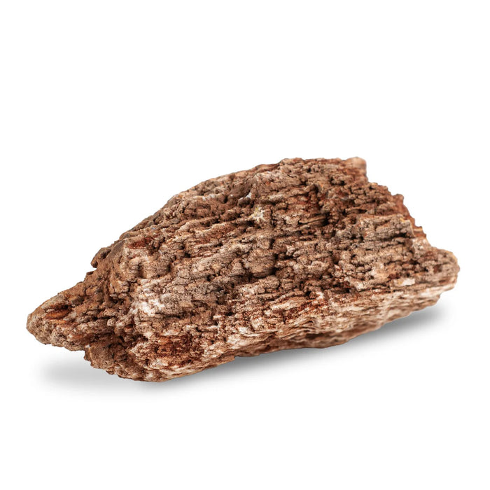 AqPet Zen Stone Red Wood Fossil 1kg – Roccia Naturale NON Calcarea Aquascaping
