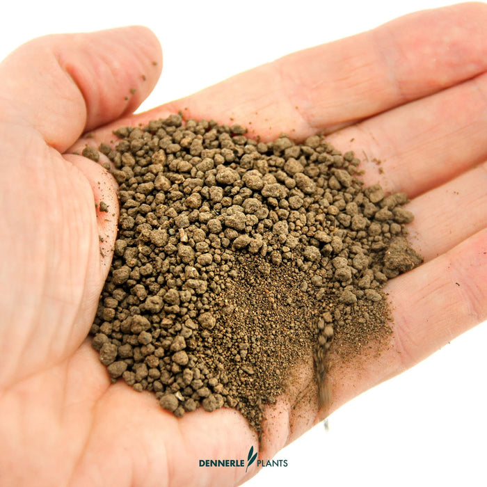 Dennerle Substrate 2,5 L – Fondo nutritivo per piante acquario effetto prolungato