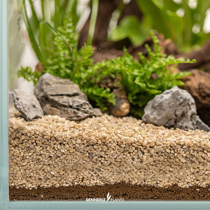 Dennerle Substrate 2,5 L – Fondo nutritivo per piante acquario effetto prolungato