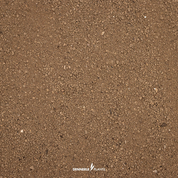 Dennerle Substrate 1 L – Fondo nutritivo per piante acquario effetto prolungato