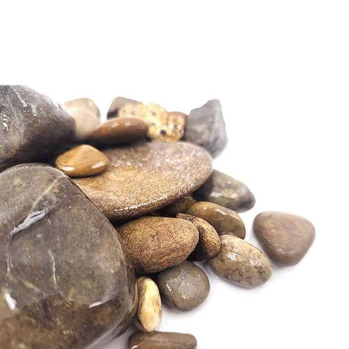 Wio Elderly Gravel Mix 2 kg – Ghiaia Naturale per Acquari, Terrari e Paludari