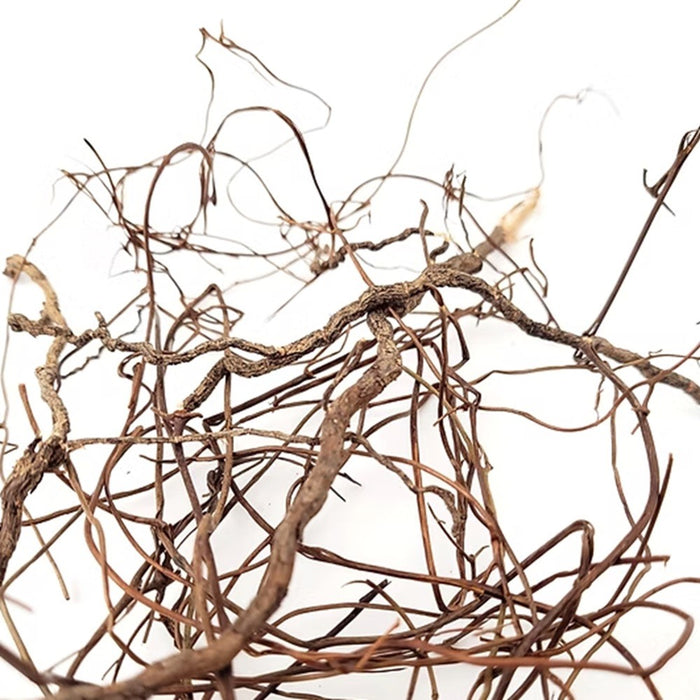 Wio Mini Roots 80g – Radici Naturali Flessibili per Acquari, Paludari e Terrari