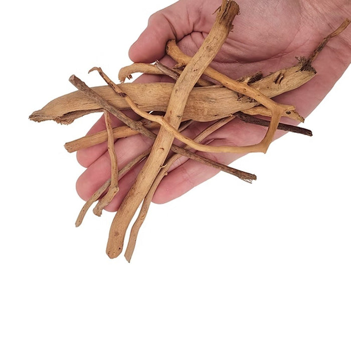 Wio Spider Twigs Root 250g – Rametti e Radici Naturali per Acquari e Terrari