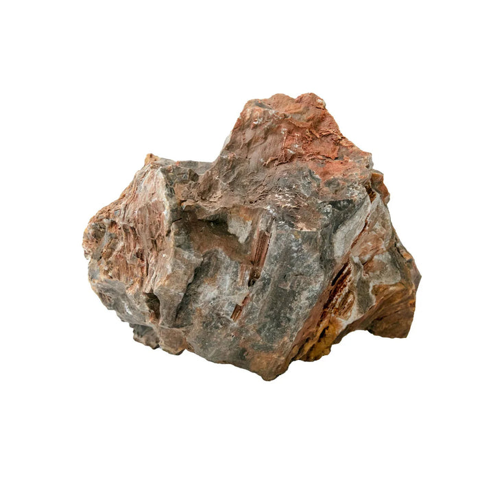 AqPet Zen Stone Wood Fossil – Roccia Naturale Inerte Effetto Legno (Prezzo al kg)