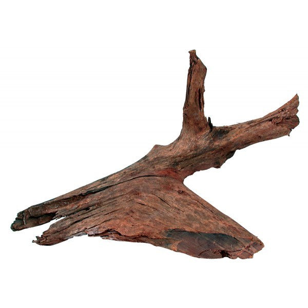 Legno Mangrovia 25/40 cm