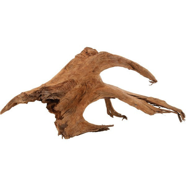 Legno Mangrovia 40/60 cm