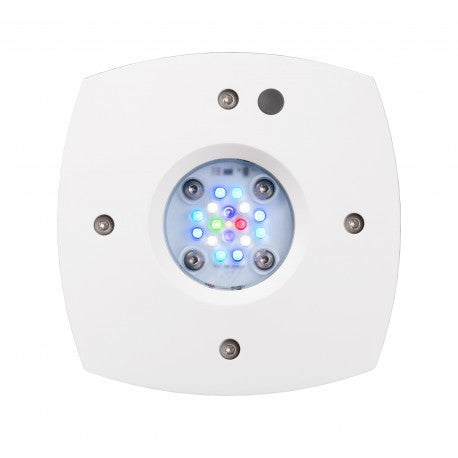 Aqua Illumination Prime 16 HD White