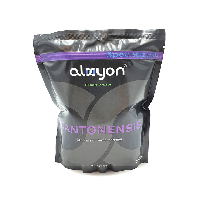 Alxyon Cantonensis 300 gr